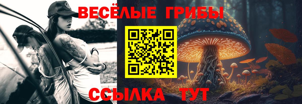 Псилоцибиновые грибы GOLDEN TEACHER Сызрань